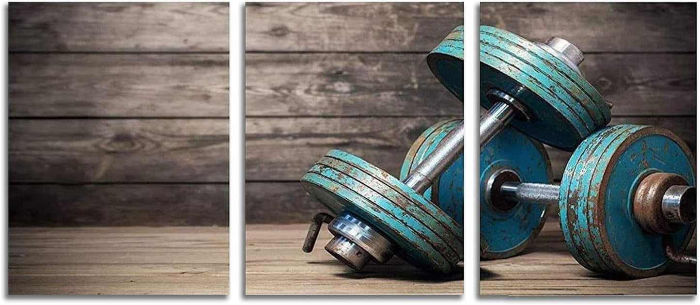 Modular Dumbbells Fitness Wall Decor,The Gym Canvas Wall Art Modern Home Poster 3 Pieces HD Printed Bodybuilding Painting for Living Room,Bedroom, Frame Decoration